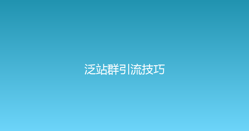 泛站群引流技巧 封面图
