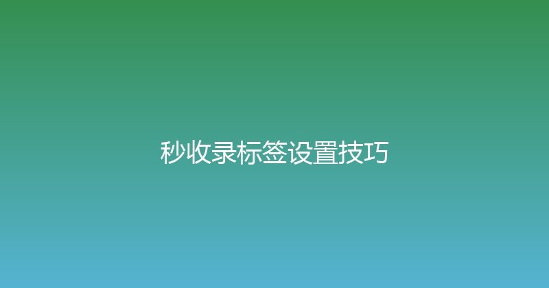 秒收录标签设置技巧 封面图