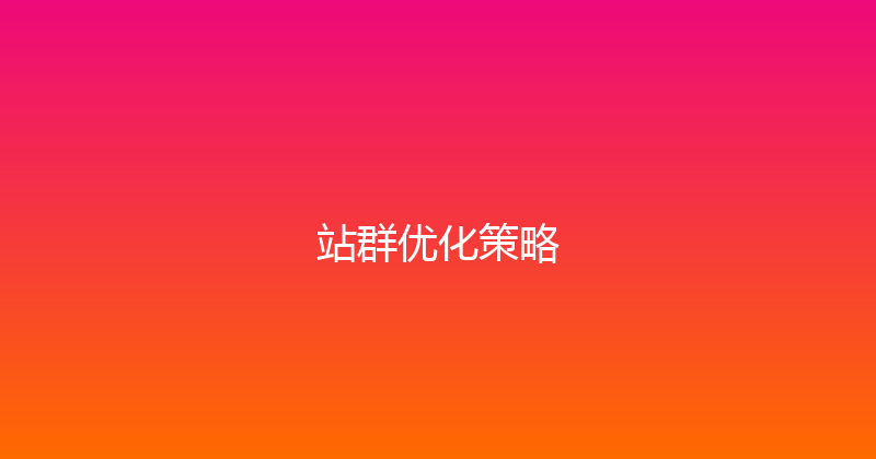 站群优化策略 封面图