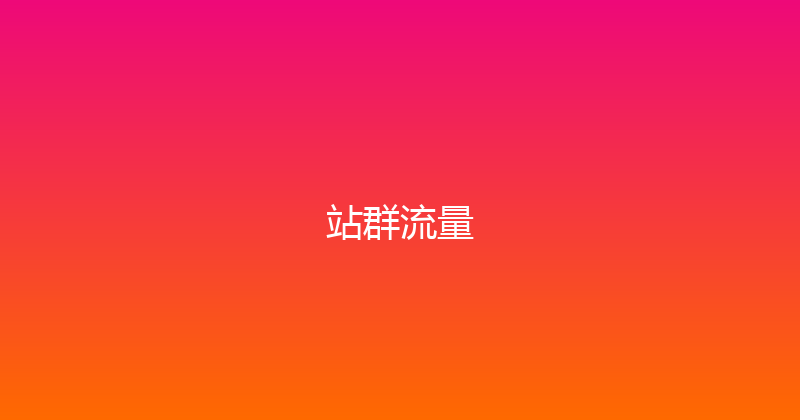 站群流量 封面图