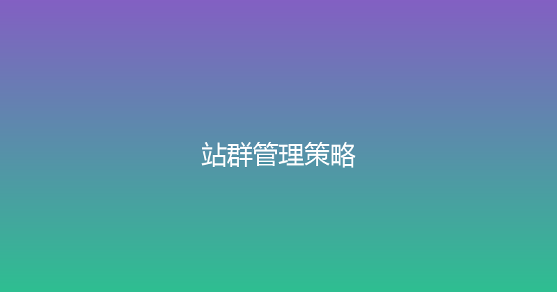 站群管理策略 封面图