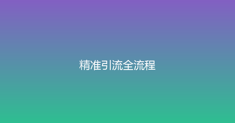 精准引流全流程 封面图